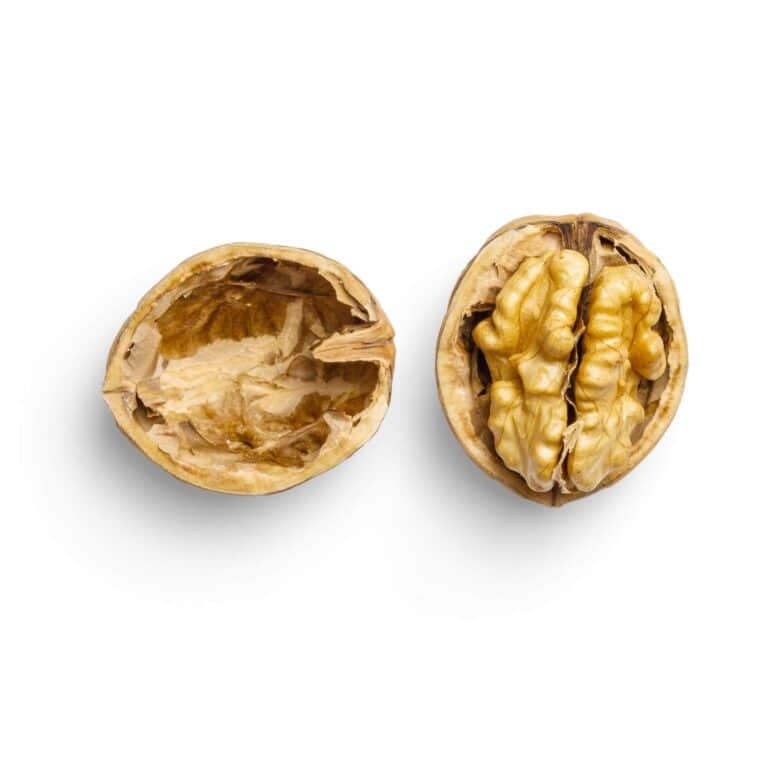 A walnut cut in half with the shell open, focusing on the brain structure.